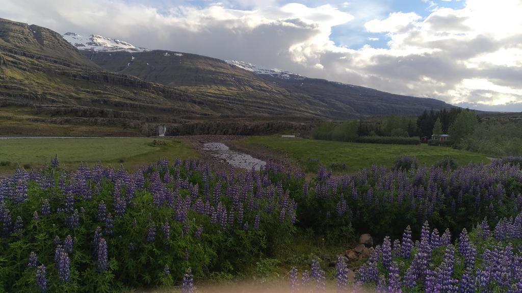 Fossardalur Guesthouse Djúpivogur 외부 사진